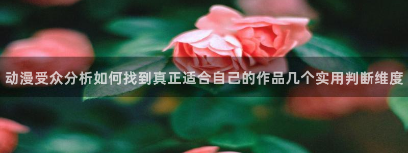 喵趣漫画大全:动漫受众分析如何找到真正适合自己的作品几个实用判断维度配图