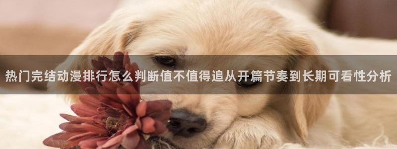 2026喵趣漫画人气推荐:热门完结动漫排行怎么判断值不值得追从开篇节奏到长期可看性分析配图