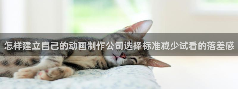喵趣漫画中文版:怎样建立自己的动画制作公司选择标准减少试看的落差感配图
